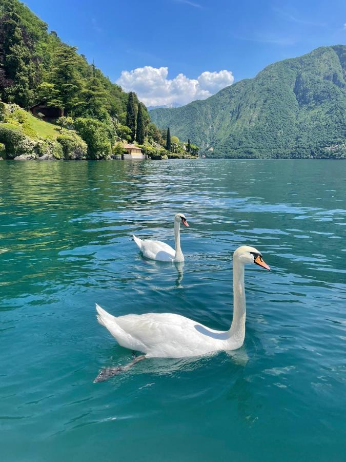 Casacamelia 35, 3 Bdrm With View Lake Como Apartment Acquaseria Exterior photo